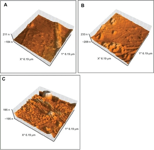 Figure 4 Topography of irradiated polystyrene by argon plasma at A) 30 seconds, B) 60 seconds, and C) 180 seconds.