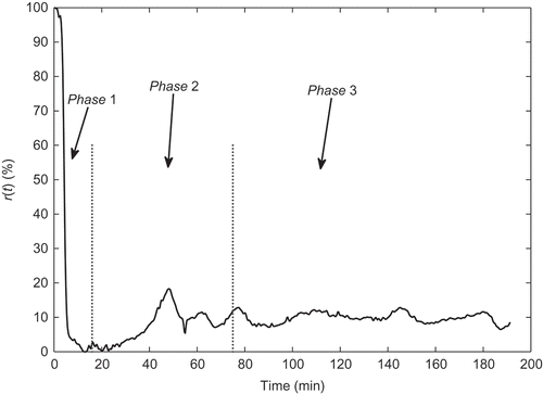 Figure 3. Observed signal and its phases.