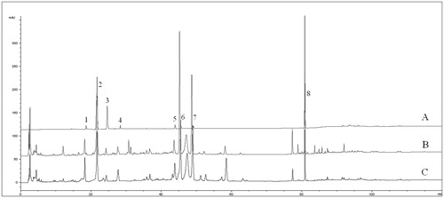 Figure 1. HPLC chromatogram of standard mixture (A), crude drug (B) and sweated sample (C): (1) LA; (2) CA; (3) CaA; (4) LN; (5) IB; (6) IA; (7) IC and (8) AVI.