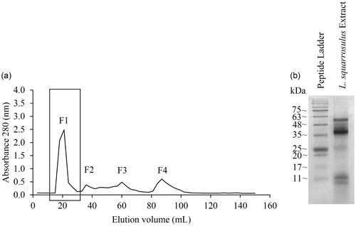 Figure 2. Isolated peptide extracts from Lentinus squarrosulus. (a) Peptide elution profile obtained from Sephadex G-25 gel filtration chromatography. The rectangular box indicates the highest peptide containing fraction (F1) which was used for further evaluation. (b) SDS-PAGE of F1 fraction of gel filtration chromatography.