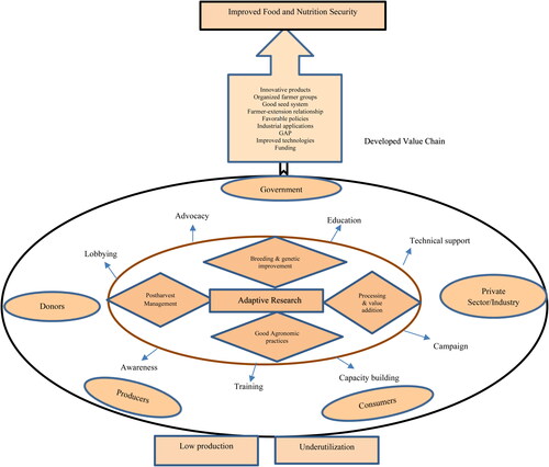 Figure 1. Framework for actions and actors needed to develop grain amaranth value chain for improved food and nutrition security.