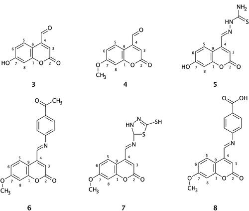 Figure 1 Chemical structures of the synthesized coumarin Schiff base derivatives. Compound 3, 7-hydroxy-4-formyl coumain; compound 4, 7-methoxy-4-formyl coumarin; compound 5, thiosemicarbazide derivative of 7-hydroxy-4-formyl coumarin; compound 6, p-aminoacetophenone derivative of 7-methoxy-4-formyl coumarin; compound 7, 5-amino-1,3,4-thiadiazole-2-thiol derivative of 7-methoxy-4-formyl coumarin; compound 8, p-aminobenzoic acid derivative of 7-methoxy-4-formyl coumarin.