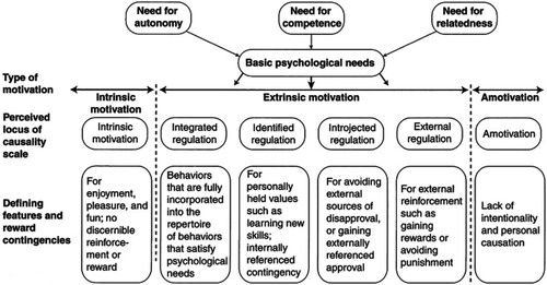 Figure 1. The basic psychological needs and self-determined motivation. Adapted from Hagger and Chatzisarantis (Citation2007).
