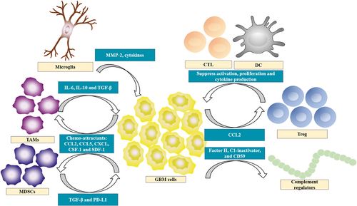 Figure 2. Overview of immunosuppressive pathways in glioblastoma.