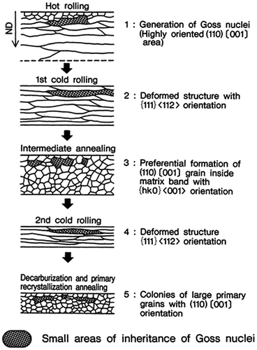 Figure 13. Schematic of mechanism of inheritance by structure memory for original hot-rolled silicon steel sheet up to primary recrystallization annealing [Citation26].