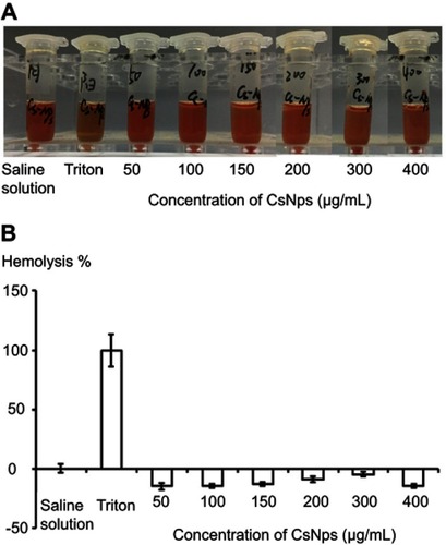 Figure S3 The qualitative (A) and quantitative (B) detection of hemolysis of CsNps. The negative values of hemolysis percentage of CsNps might be induced by the binding of proteins with the Nps. (n=6).