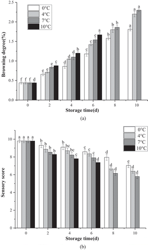 Figure 2. Browning degree (a) and sensory score (b) of fresh-cut lemon slices at different storage temperature.