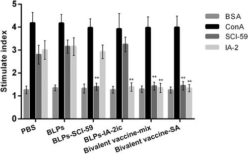 Figure 6. Effect of different treatments on T cell proliferation. At the end of the observation period (40-week-old), all alive mice in each group (n = 5 in PBS group; n = 4 in BLPs group; n = 9 in BLPs-SCI-59 group; n = 9 in BLPs-IA-2ic group; n = 15 in Bivalent vaccine-mix group; n = 13 in Bivalent vaccine-SA group) were euthanized and subjected to splenocyte proliferation test by simulating with BSA, ConA, SCI-59, and IA-2. For each mouse, at least three independent experiments were performed. Data are shown as means ± SD. ** p < 0.01.
