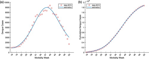 Figure 7. The reported dengue cases by morbidity week and cumulative sum in the Philippines from week 16 to 52 of 2015 and the corresponding model identification. (a) The reported 2015 Philippine dengue cases by morbidity week and the model estimation. (b) The reported 2015 cumulative Philippine dengue cases and the model estimation.