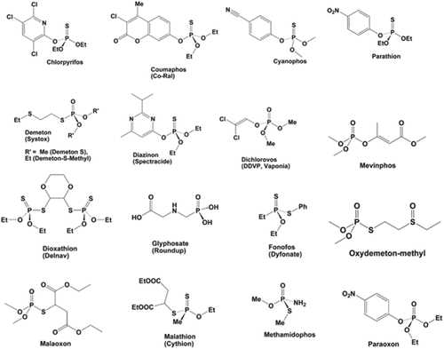 Figure 3. Various structures of OP-based pesticides. Reproduced with permission from ref [Citation15], copyright @ American Chemical Society (2011).