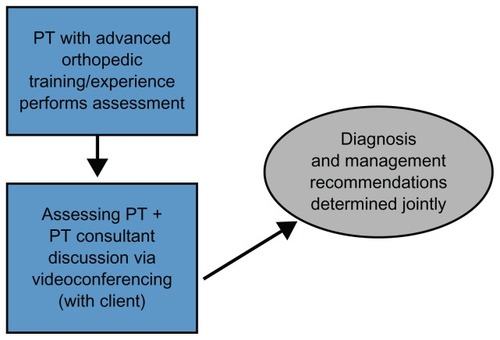 Figure 2 The Spinal Triage Assessment Service assessment process.