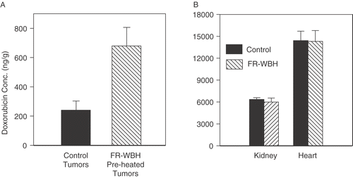 Figure 4. Pre-treatment with FR-WBH results in an increase in doxorubicin concentration in tumors but not normal tissues. The concentration of doxorubicin is significantly increased (p < 0.01) from baseline in tumors previously treated with FR-WBH (A) but not in kidney or liver (B) when it is analysed 4 hours after injection of DOXIL. Note that the drug concentrations within kidney and liver are considerably higher at baseline than in tumors (with no treatment), but this concentration shows no further increase as a result of pre-treatment with FR-WBH. The error bars indicate standard error of the mean. Data representative of 2 separate experiments with at least 9 mice per group.