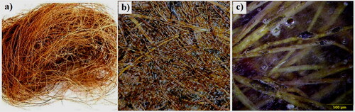 Figure 1. Workpiece specimen (a) Image of coconut coir fiber (b) Image of CCFRP composite laminates (c) Microstructure of CCFRP composite laminates.