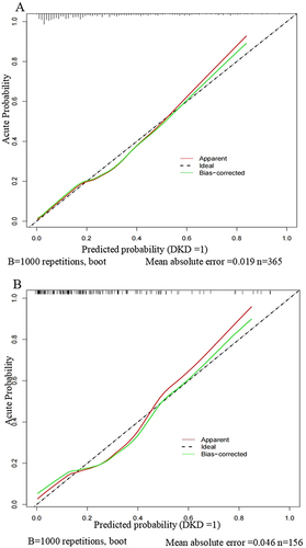 Figure 7 Calibration curves of the nomogram.