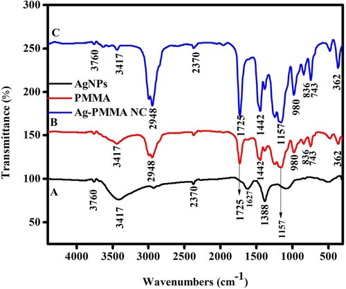 Figure 6. The FTIR spectra of (A) green AgNPs, (B) PMMA polymer film, and (C) Ag-PMMA NC film.