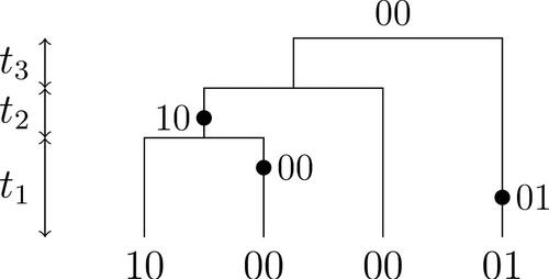 Fig. 7 A realization of the finite sites model with n = 4, S=H={0,1}, three mutations, three types, and Dn=(#00,#10,#01,#11)=(2,1,1,0).