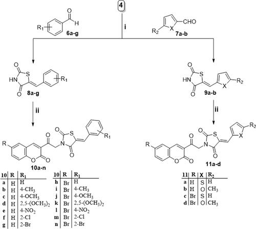 Scheme 2. Reagents and conditions: (i) glacial acetic acid, reflux 3 h.; (ii) DMF, potassium carbonate, potassium iodide, reflux 8 h.
