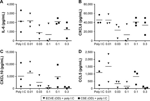 Figure 9 The effect of ECVE and CSE on poly I:C-stimulated apical cytokine release from COPD BECs. Primary BECs from COPD patients were exposed to ECVE (0.01–0.1 OD) or CSE (0.1–0.3 OD) for 1 hour prior to poly I:C stimulation for 24 hours. Supernatants were analyzed for IL-6 (A), CXCL8 (B), CXCL10 (C), and CCL5 (D).