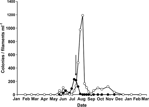 Fig 1. Seasonal variation in the numbers of Anabaena flos-aquae colonies (•) and Aphanizomenon flos-aquae filaments (○) in Rostherne Mere during 2000. Arrow indicates date on which samples were taken.