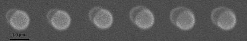 Figure 3. The time-resolved images on a single SiO2 particle.