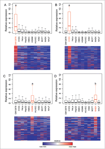 Figure 2. Long ncRNA expression correlates with predicted tissue-specific enhancers. In (A–D) are shown expression values for all long ncRNAs overlapping a predicted enhancer in (A) GM12878, (B) H1ES, (C) HSMM, and (D) NHEK. For each long ncRNA the relative expression compared to the average expression across all cell lines is shown as bar-plots (upper panels) or as heatmaps (lower panels). Heatmaps are normalized for each transcript such that blue shows the lowest expression and red shows the highest expression. Statistical analysis is done using Mann-Whitney-Wilcoxon test. a P-value < 2.2e-16, b P-value 7.9e-15.