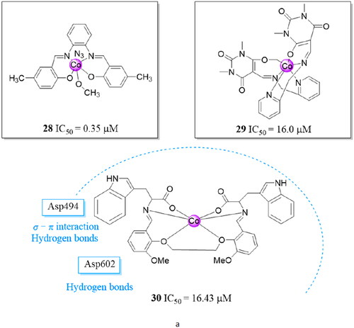 Figure 8. Schiff base cobalt metal complexes 28–30 and the docking study of complex 30.