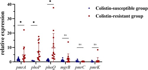 Figure 2. Relative expression of the pmrA, phoP, phoQ, mgrB, pmrC, and pmrK genes in colistin-resistant group and colistin-susceptible group. Values were represented by means of three independent replicates. Relative expression of pmrA, phoP, and phoQ in colistin-resistant group was significantly higher than colistin-susceptible group. There were 6 strains that less expressed mgrB gene, five strains harboured modified-mgrB gene and the rest strain were WT. However, because of early termination, overexpression of mgrB in one strain from ST11 could not form a protein with a negative regulatory function. *, P < 0.05; ns, not significantly different.