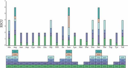 Figure 5. RSCU histogram of P. asiatica. The blocks underneath stand for different codon encoding amino acids. The columns on the top depict the sums of RSCU values of the 20 amino acids.