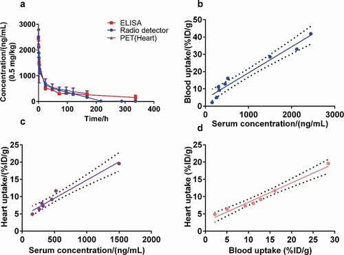 Figure 4. Results of the pharmacokinetics study. Curves show the serum concentration/blood and heart equivalent concentration over time analyzed by ELISA, radio detector, and PET imaging, respectively (a). (b to d) Pearson correlation analysis and linear regression fitting curves along the serum concentration (ng/mL) by ELISA, the blood uptake (%ID/g) determined by radio detector, and the heart uptake (%ID/g) determined by PET imaging. The dotted line represents the 95% confidence interval