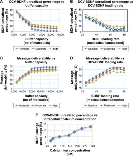 Figure 6 Different metrics calculated from simulation of AβO regulation of membrane calcium channels and its effects on BDNF transport on axonal MTs.Notes: (A) Variation of unrealized DCV-BDNF percentage with buffer capacity for different calcium levels. (B) Variation of unrealized DCV-BDNF percentage with BDNF loading rate for different calcium levels. (C) Variation of message deliverability with buffer capacity. (D) Variation of message deliverability with BDNF loading rate for different calcium levels. (E) Variation of unrealized DCV-BDNF percentage with intracellular calcium concentration.Abbreviations: AβO, amyloid beta oligomer; DCV, dense core vesicle; BDNF, brain-derived neurotrophic factor; MT, microtubule.