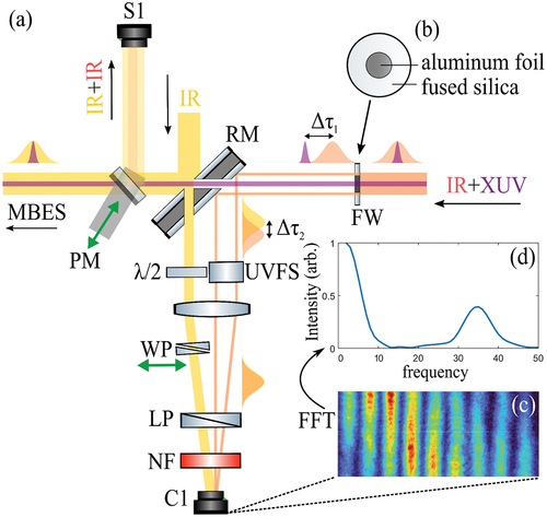 Figure 2. (a) An illustration of the essential components for measuring the temporal stability of the interferometer, with the probe beam (yellow lines), pump beam (red lines) and XUV (purple lines). FW, filter wheel; RM, recombination mirror; PM, pick-up mirror; λ/2, half-waveplate; UVFS, UV fused silica; WP, wedge pair; LP, linear polarizer; NF, narrow bandpass filter. (b) Schematic of the aluminum foil mounted on fused silica. (c) Spatial fringes from interfering the femtosecond lasers. (d) Fourier transform of the fringe pattern.