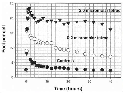 Figure 4. DNA double-strand break repair as indicated by the γ-H2AX assay (foci per cell) for control TE.354.T basal cell carcinoma cells and for cells pretreated for 1 h before graded dose irradiation with 2.5 Gy of 250 kVp x-irradiation.