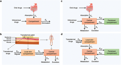 Figure 7. Existing pharmacokinetic models (the compartment models). a) one-compartment model for oral and injection. b) two-compartment model for oral and injection. c) two-compartment model for TDD. d) three-compartment model for TDD.