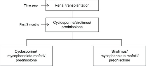 Figure 1 Schematic local randomized controlled trial protocol.