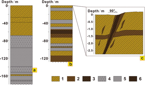 Figure 4. Drilling and trenching profile of earth fissures in Su-Xi-Chang area (modified from Zong Citation2005). (a) Drilling profile from bore ‘BK1’ whose location is shown in Figure 1, ‘BK1’. (b) Drilling profile from bore ‘BK2’ whose location is shown in Figure 1, ‘BK2’. (c) Trenching profile whose location is shown in Figure 1, ‘TC’. 1—silty clay, 2—clay, 3—muddy clay, 4—coarse sand, 5—fine sand, 6—filling soil in fissure.