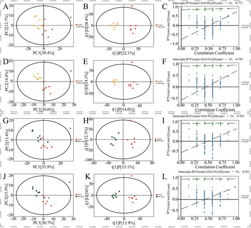 Figure 4. Control group vs. 4 mg silica group multivariate data analysis. PCA score plot (A: positive; D: negative). OPLS-DA score plot (B: positive; E: negative). OPLS-DA permutation plot (C: positive; F: negative). Control group vs. 8 mg silica group multivariate data analysis. PCA score plot (G: positive; J: negative). OPLS-DA score plot (H: positive; K: negative). OPLS-DA permutation plot (I: positive; L: negative).