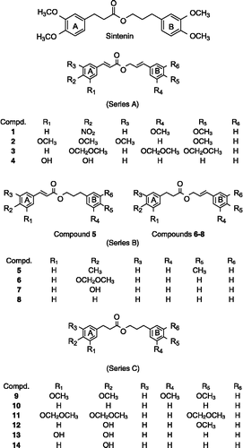 Figure 1.  The structures of sintenin and three series of synthetic sintenin derivatives.