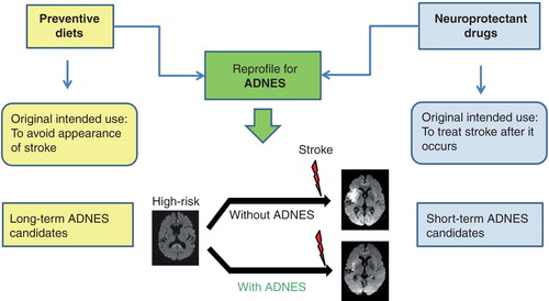 Figure 1. Neuroprotectant drugs or preventive diets which demonstrated beneficial effects if given before ischemia induction and discarded for conventional neuroprotection could be rescued in order to apply ‘advanced neuroprotection strategy’ (ADNES). ADNES is a novel approach that would try to protect the brain at risk before stroke occurs, to prevent and especially to minimize brain injury in order to be applied to patients at high risk for stroke. Images show the possible differences in brain damage after stroke in a patient at high risk of cerebral ischemia with or without ADNES.