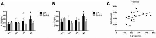 Figure 2 Expression of IL-21 and IgG4 in the serum. (A) IL-21 levels of the 35- and 42-day CIA rats were significantly higher than those in the control group (z = −2.611, −2.402, P < 0.05). (B) Serum IgG4 levels of experimental rats in the 42-day group exceeded those of the control group (z = −1.984, P < 0.05) (Mann–Whitney U-test). (C) IL-21 and IgG4 levels were positively correlated in CIA group (r = 0.567, P < 0.05) (Spearman correlation analysis). Values are the mean ± SEM (n = 5). #P < 0.05.