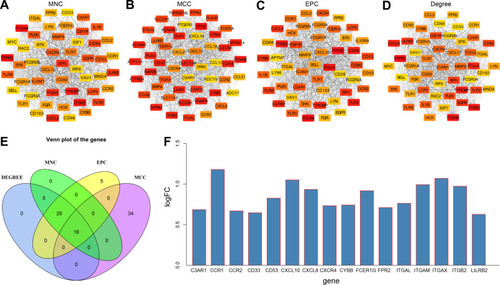 Figure 5 The selection and analysis of hub genes. Top 50 genes selected based the four ranking methods. (A) Degree, (B) DMNC, (C) MCC and (D) MNC. The darker the color of the node, the higher the score. DMNC, density of maximum neighborhood component; MCC, maximal clique centrality. MNC, maximum neighborhood component. (E) Venn plot. Venn plot of the overlapping genes for the top 50 genes selected based on the four ranking methods. Degree, DMNC, MNC, and MCC. (F) The expression levels for 16 hub genes in carotid atherosclerosis samples compared with control samples.