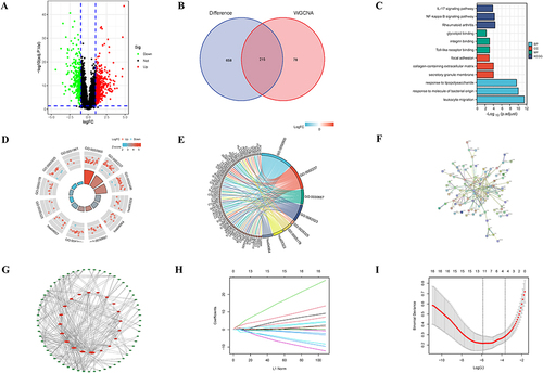 Figure 4 Screening and functional analysis of immune infiltration-related DEGs. (A)Volcanic map of DEGs (red for up-regulation and green for down-regulation). (B) Venn diagram of intersect genes (between DEGs (873) and the central genes of brown module (293). (C–E) Functional enrichment analysis of immune infiltration-related DEGs. (F and G) PPI networks of immune infiltration-related DEGs. (H and I) LASSO regression analysis (Each color represents a different gene in (H).