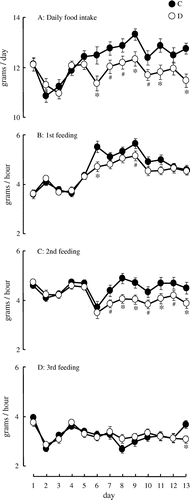 Fig. 2. Daily changes in the amount of food intake in female rats on the MF3 schedule.