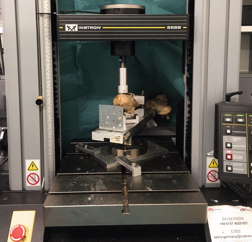 Figure 2. The mechanical setup.