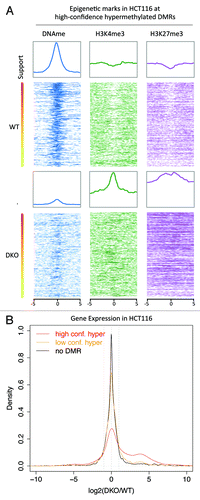 Figure 4. Correlation between HCT116 epigenetic marks and transcripts. (A) Color profiles of MethylCap-seq, H3K4me3, H3K27me3 and CTCF ChIP-seq and DNaseI hypersensitivity sequencing read densities from HCT116. Each profile shows the 10kb regions surrounding the high-confidence hypermethylated DMRs. The DMRs were sorted based on their support. The bar on the left shows the support (high support is red; low support is yellow). Average profiles are shown on top of the color profiles. (B) Density plot of the ratio of the RNA-seq data of HCT116 WT and DKO. The ratios of the RPKM values for DKO over WT are plotted for high-confidence (support hypermethylation ≥ 6; support hypomethylation ≤ 1), low-confidence (support hypermethylation < 6; support hypomethylation ≤ 1), and no DMRs (support hyper- and hypomerhylation = 0).