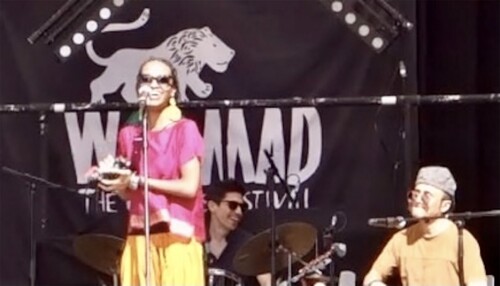 Figure 2. Amira Kheir performing at WOMAD River Stage in London 2017.