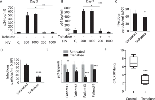 Figure 8. Effective control of HIV-1 and Mtb by trehalose in clinically relevant settings. PBMC from seronegative healthy donors were isolated and infected with a clinical isolate of HIV-1 subtype C at doses of TCID200 and TCID1000 for 24 h. Trehalose (100 mM) was added post-infection and supernatants were collected on Day 3 (A) and Day 7 (B) post-treatment for p24 ELISA. Values are mean±SD from duplicates. The first data point in both (A) and (B), marked ‘C1’ and ‘C2’against HIV is the control sample, where the initial viral inoculum corresponding to TCID200 and TCID1000, respectively, used to infect hMDMs were kept in the media without cells for 3 and 7 d, respectively, and used as a control for ELISA. (C) In a separate experiment, supernatants from stimulated (IL2/PHA) PBMCs infected with HIV-1 were used for TZM-bl assay for infectious virus particle count in control or trehalose-treated (3 d) groups. (D) TZM-bl assay performed using supernatants from activated or HIV-1-infected CD4+ T cells which were either control or trehalose-treated for 3 d post-infection (E) Infected PBMCs isolated from four ART-naïve HIV–infected donors were treated with trehalose and p24 ELISA was performed on the supernatant at day 7. Values are mean±SD from triplicates; *p-value<0.05; **p-value<0.005; ***p-value<0.001. (F) C57BL/6 mice were infected with H37Rv by the aerosol challenge (~200 bacilli/per lung). After 4 weeks of infection, trehalose was fed to the animals through oral gavage (3 mg/kg). Control animals received an equal volume of the solvent. Four weeks after the start of the treatment, animals were sacrificed, and lung homogenates were plated on 7H11 plates for CFU counting. ***p-value<0.001