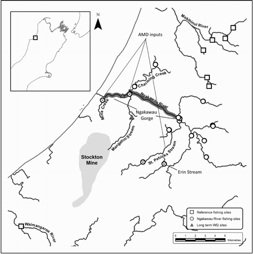 Figure 1. Fish survey streams and water quality monitoring sites within the Ngakawau, Mohikinui and Waimangaroa rivers. The Stockton mine and major waterways are shown along with the location of long-term water quality monitoring stations. Ngakawau sites devoid of fish are marked with an X. AMD discharges to to the Ngakawau River are labelled and the extent of the Ngakawau Gorge is highlighted.