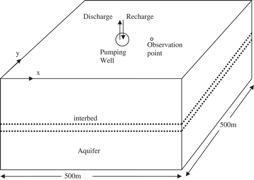 Figure 3. Schematic of the aquifer with land subsidence due to groundwater pumping for Test problem 4.