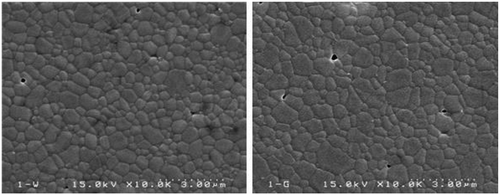 Figure 6. SEM image of the cross-sectional microstructure of the samples prepared by (a) flash sintering at 1051 °C 1000 V/cm for 10 seconds, and (b) normal sintering at 1192°C for one hour