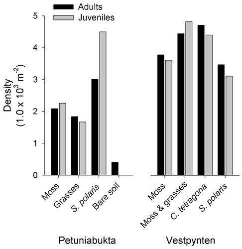 FIGURE 2. Density of Oribatida [thousand individuals m-2 in logarithmic scale (ln)] in investigated microhabitats of moss-grass tundra in Svalbard.